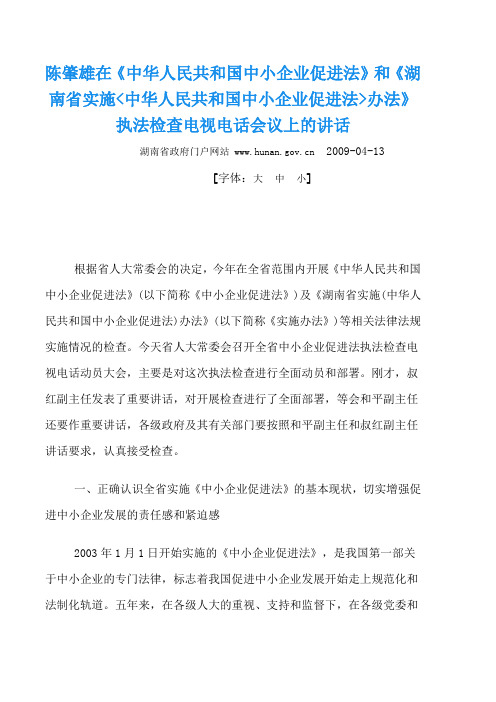 陈肇雄在《中华人民共和国中小企业促进法》和《湖南省实施中华人民共和国中小企业促进法办法》执法检查电视