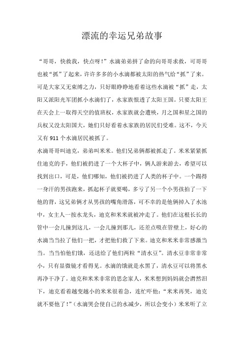 初一想象漂流的幸运兄弟故事