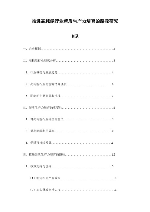 推进高耗能行业新质生产力培育的路径研究