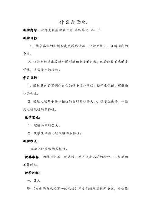 《什么是面积》案例