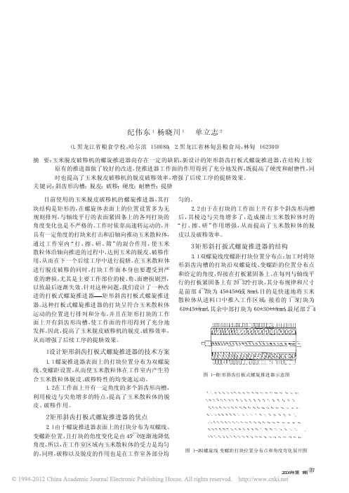 矩形斜齿打板式螺旋推进器_纪伟东