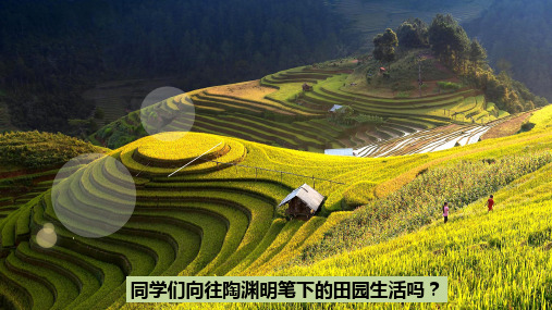 人教版道德与法治九年级上册共筑生命家园2