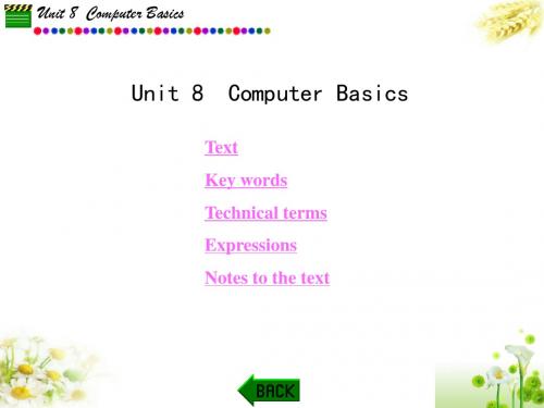 电子信息类专业英语Unit 8  Computer Basics-精品文档