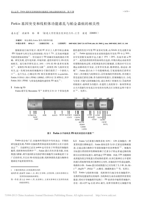 Parkin基因突变和线粒体功能紊乱与帕金森病的相关性_姜立志