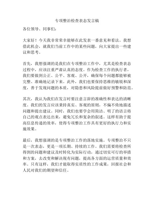 专项整治检查表态发言稿