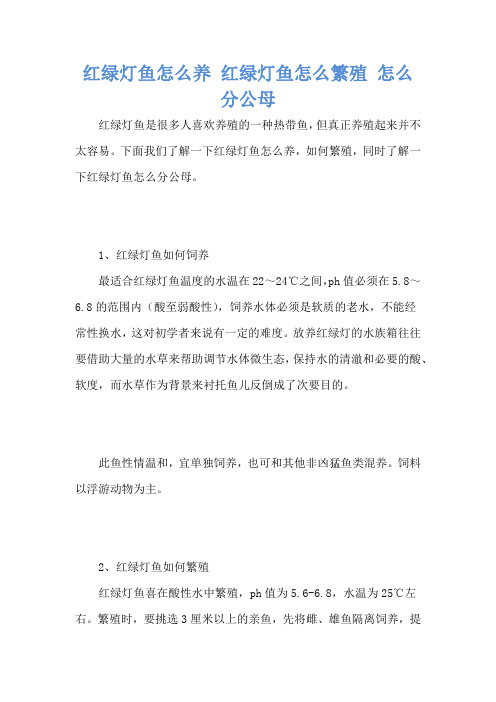 红绿灯鱼怎么养 红绿灯鱼怎么繁殖 怎么分公母