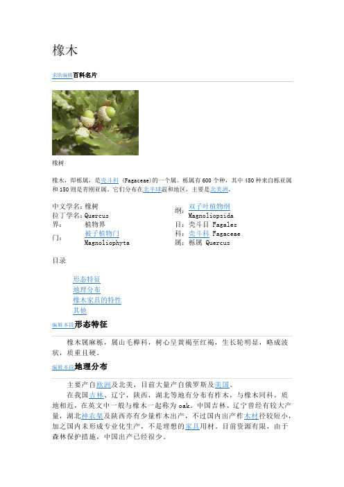 橡木