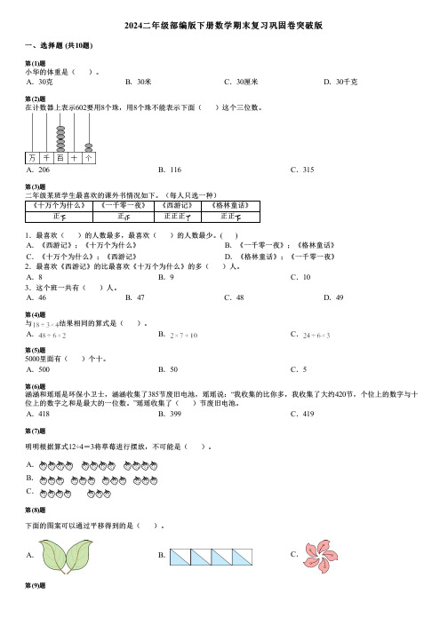 2024二年级部编版下册数学期末复习巩固卷突破版