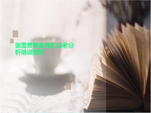 张雪贵黄金外汇技术分析培训资料