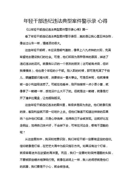 年轻干部违纪违法典型案件警示录 心得