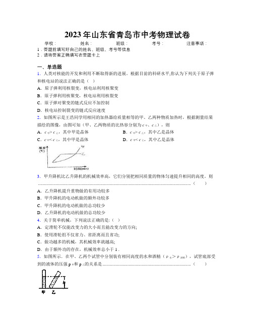 2023年山东省青岛市中考物理试卷及解析