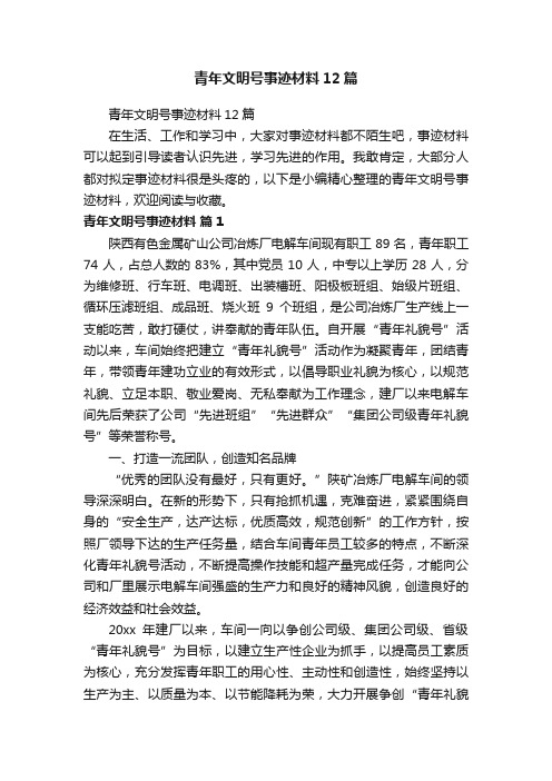 青年文明号事迹材料12篇