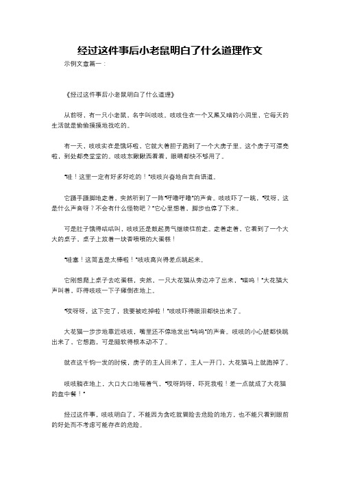 经过这件事后小老鼠明白了什么道理作文