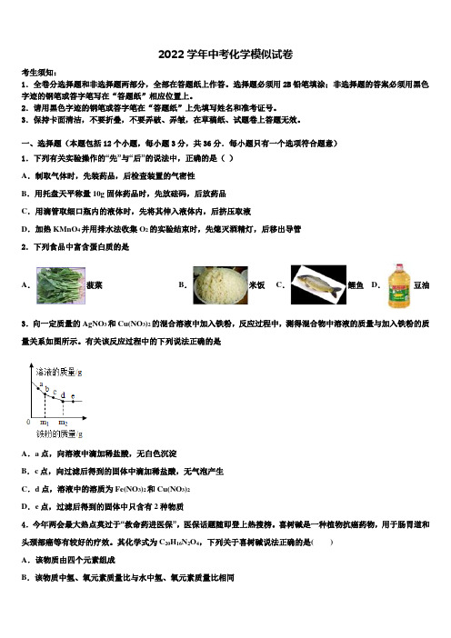 2022届江苏省苏州市立达中学中考化学最后冲刺浓缩精华卷(含解析)