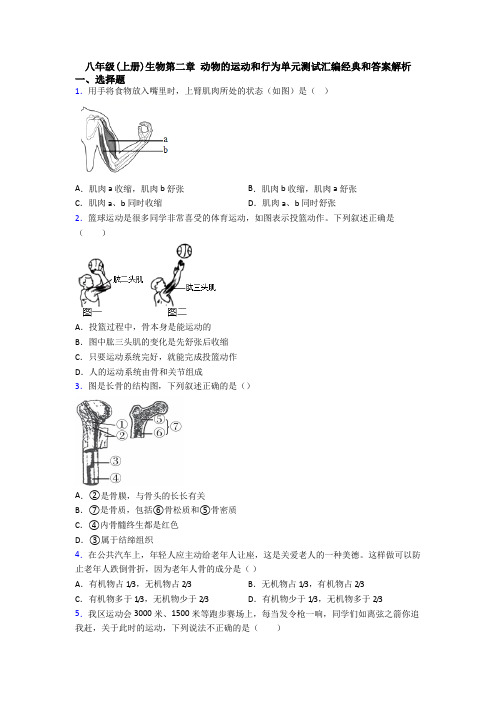 八年级(上册)生物第二章 动物的运动和行为单元测试汇编经典和答案解析