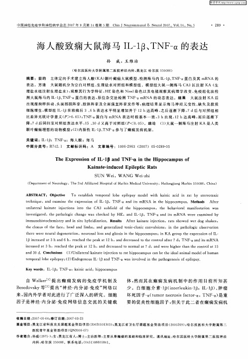 海人酸致痫大鼠海马IL-1β、TNF-α仪的表达