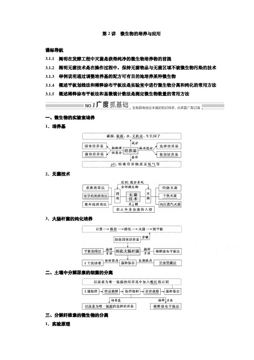 高三新高考生物人教版一轮学案选修1第2讲微生物的培养与应用