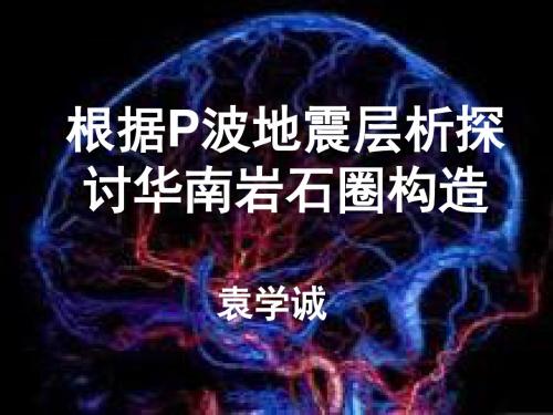 华南深部构造--袁学成