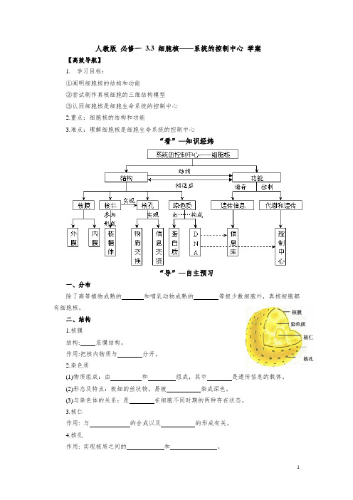 高一人教版生物必修一导学案_3.3_细胞核——系统的控制中心