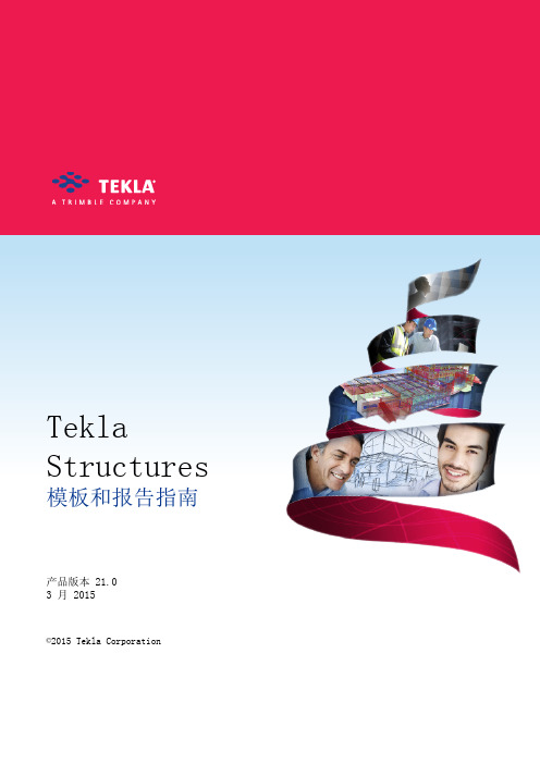 Tekla Structures模板和报告指南2015版