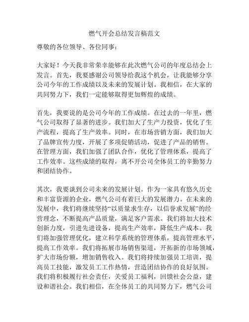 燃气开会总结发言稿范文