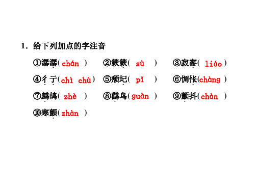 高一语文中国现代诗歌四首1(PPT)5-2