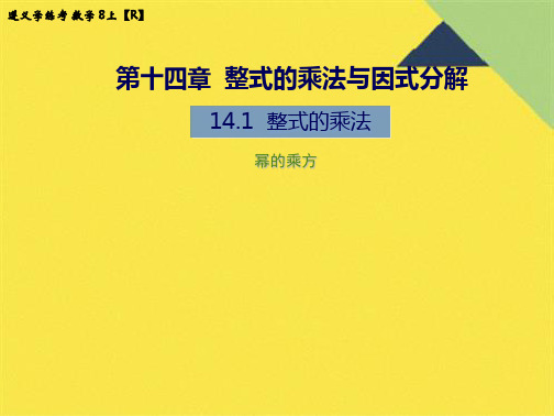 14.1.2 幂的乘方(共9张PPT)