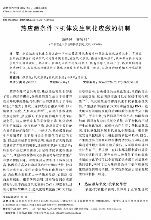 热应激条件下机体发生氧化应激的机制