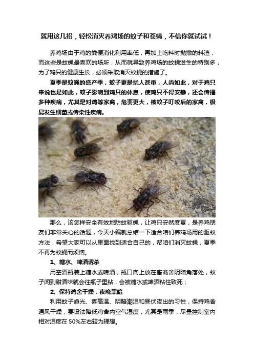 就用这几招，轻松消灭养鸡场的蚊子和苍蝇，不信你就试试！