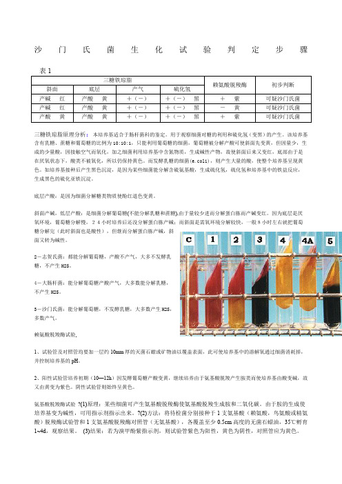 沙门氏菌生化鉴定