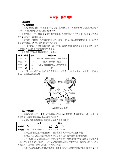 高中生物 第四节 伴性遗传知识梳理 中图版