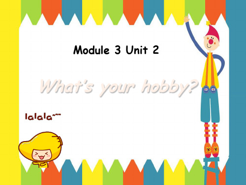 新外研版六年级英语上册Module 3 Unit 2 What's your hobby. 课件