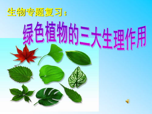 绿色植物的三大生理作用专题