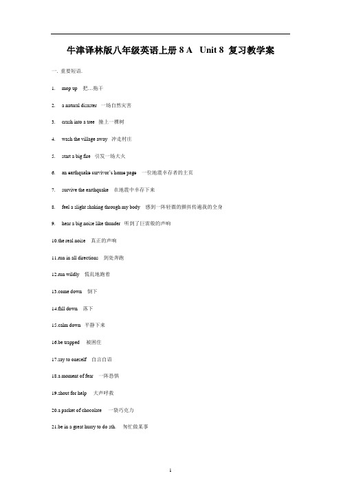 牛津译林版八年级英语上册8 A  Unit 8 复习教学案