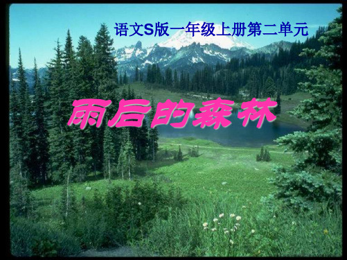 2022秋语文S版语文一年级上册课文4《雨后的森林》ppt课件1