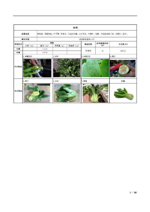 蔬菜质检标准