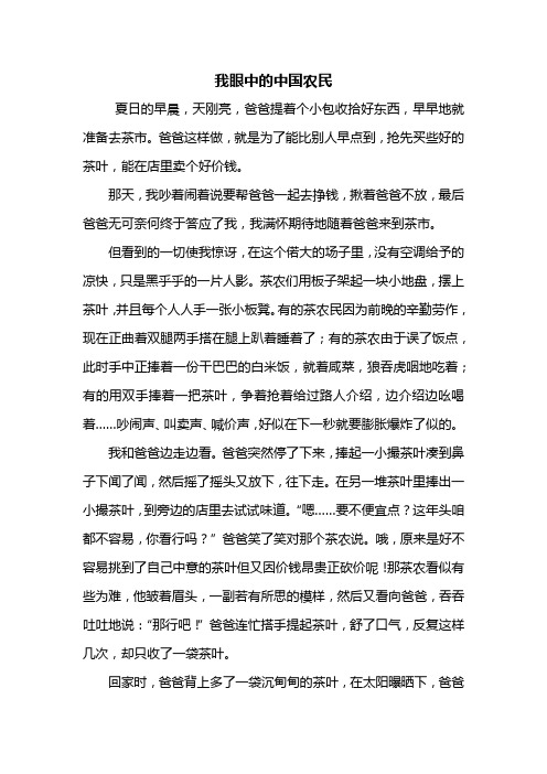 初三作文：我眼中的中国农民作文600字