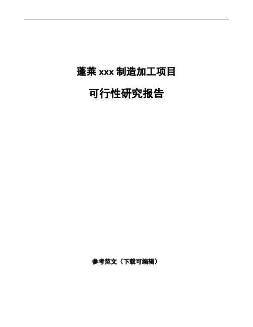 蓬莱项目可行性研究报告可编辑模板