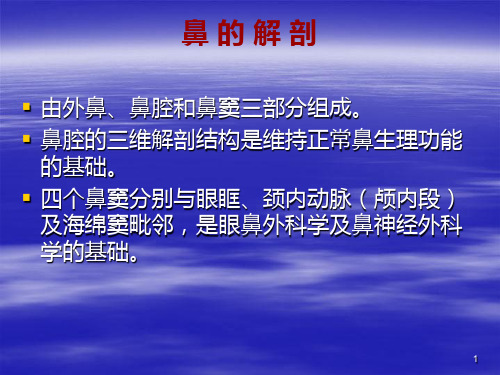 鼻解剖、鼻炎PPT课件