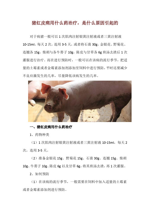 猪红皮病用什么药治疗,是什么原因引起的