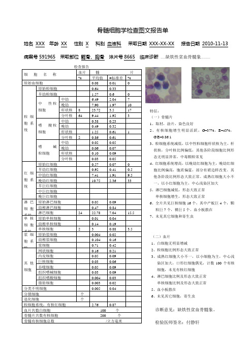 IDA骨髓检查报告