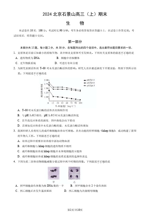 2023-2024学年北京石景山区高三上学期期末生物试题及答案