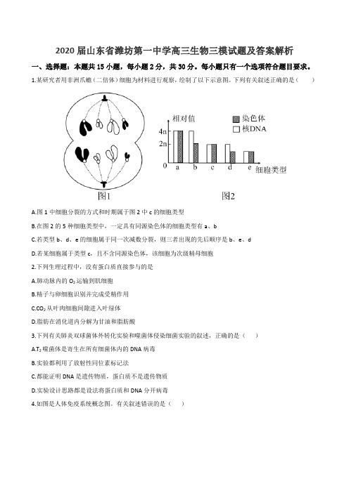 2020届山东省潍坊第一中学高三生物三模试题及答案解析