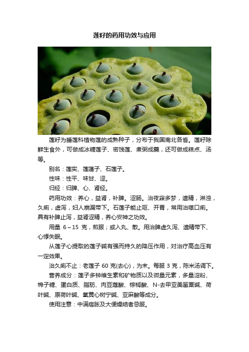 莲籽的药用功效与应用