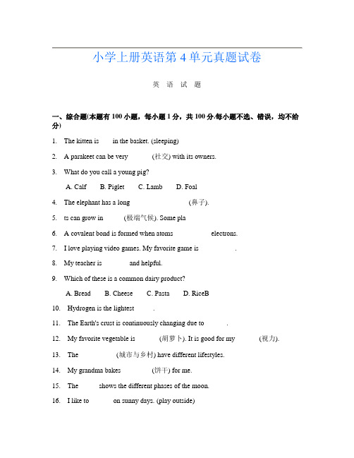 小学上册D卷英语第4单元真题试卷