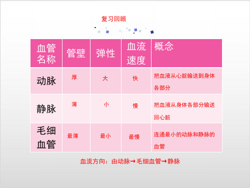 七年级生物下输送血液的泵__心脏课件 【人教版】PPT实用课件