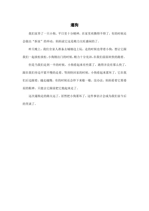 遛狗_小学六年级作文200字