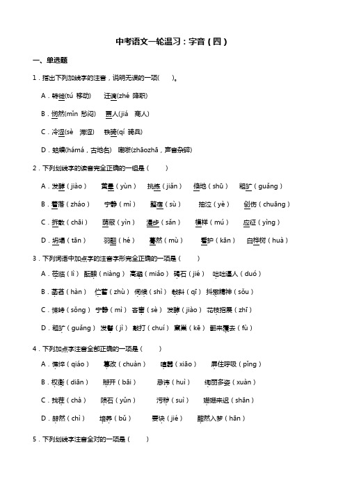 中考语文一轮复习：字音(四)