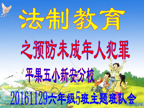 《预防未成年人犯罪》主题班会