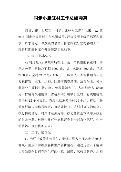 同步小康驻村工作总结两篇